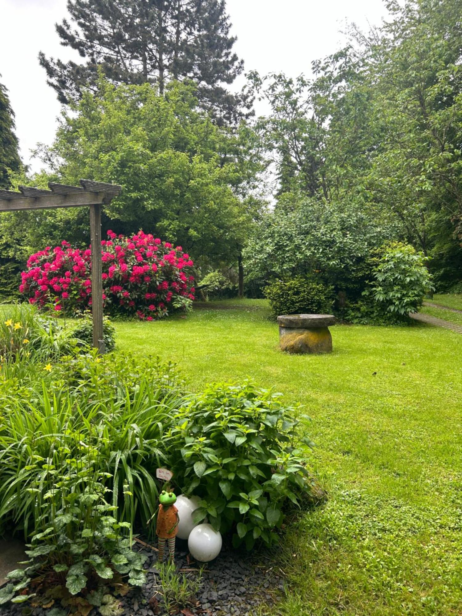 Ferienapartments Engeln Eifel Kempenich Екстериор снимка